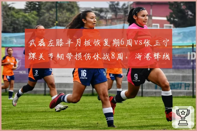 武磊左膝半月板恢复期6周vs张玉宁踝关节韧带损伤休战8周，海港锋线复出时间优于国安